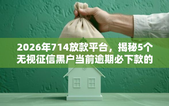 2026年714放款平台，揭秘5个无视征信黑户当前逾期必下款的口子