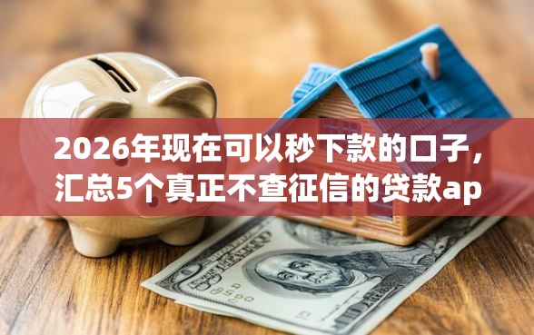 2026年现在可以秒下款的口子，汇总5个真正不查征信的贷款app