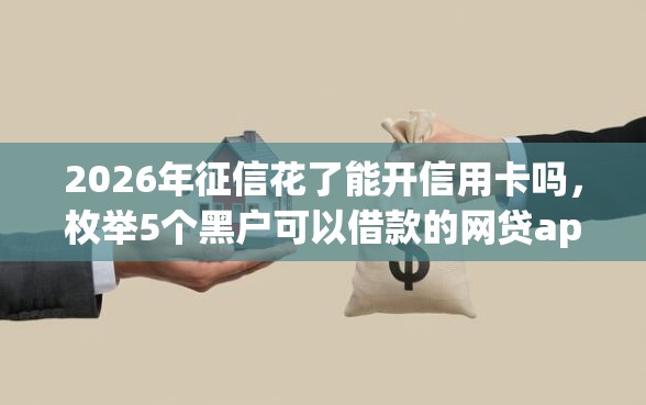 2026年征信花了能开信用卡吗，枚举5个黑户可以借款的网贷app