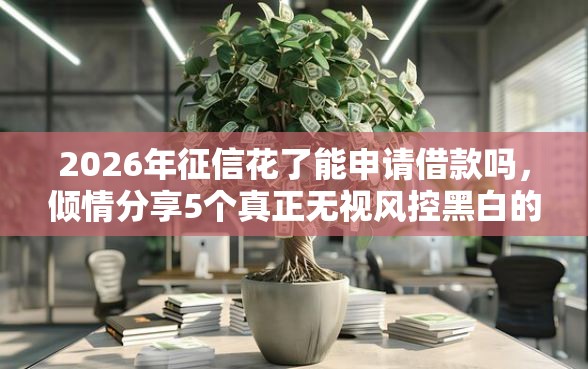 2026年征信花了能申请借款吗，倾情分享5个真正无视风控黑白的网贷软件