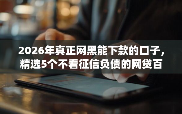 2026年真正网黑能下款的口子，精选5个不看征信负债的网贷百分百下款app