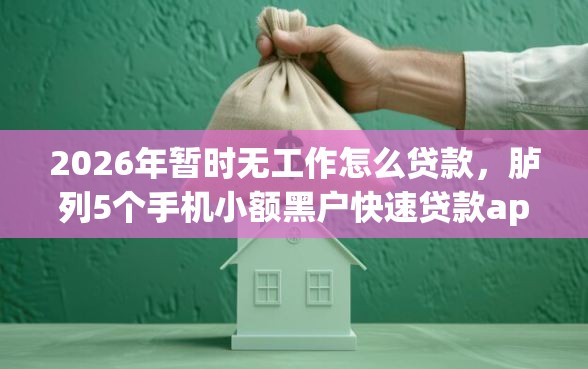 2026年暂时无工作怎么贷款，胪列5个手机小额黑户快速贷款app