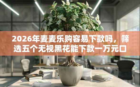 2026年麦麦乐购容易下款吗，筛选五个无视黑花能下款一万元口子