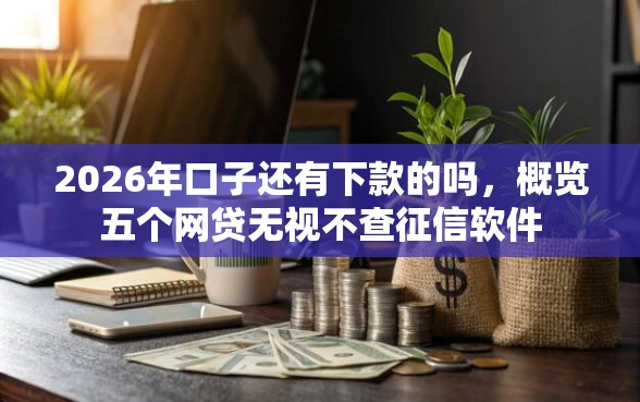 2026年口子还有下款的吗，概览五个网贷无视不查征信软件