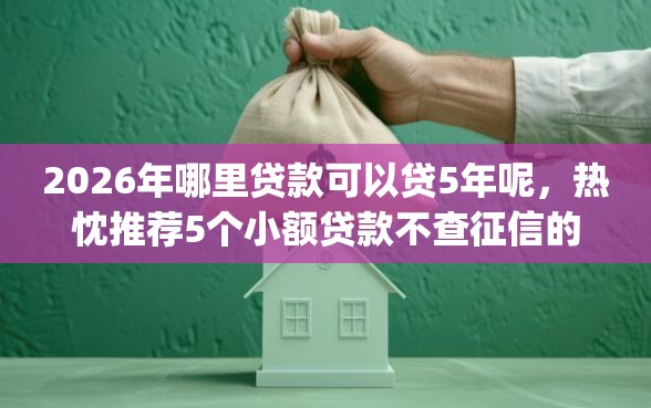 2026年哪里贷款可以贷5年呢，热忱推荐5个小额贷款不查征信的app