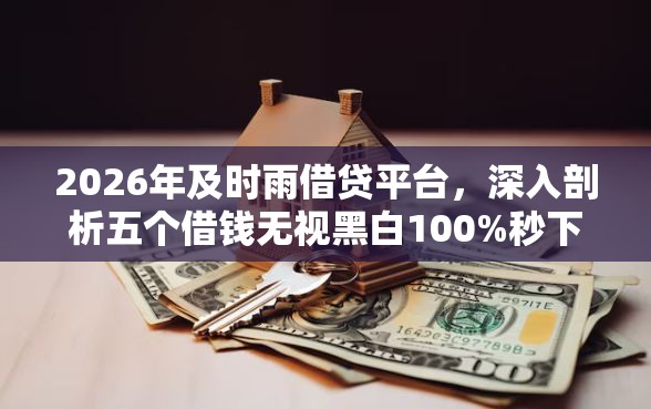 2026年及时雨借贷平台，深入剖析五个借钱无视黑白100%秒下口子