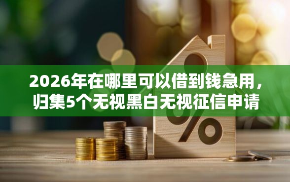 2026年在哪里可以借到钱急用，归集5个无视黑白无视征信申请就下款的平台