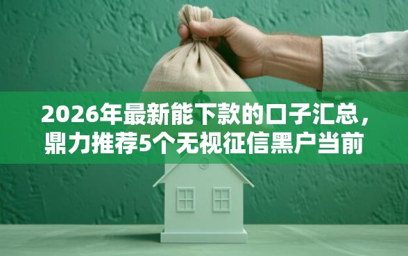 2026年最新能下款的口子汇总，鼎力推荐5个无视征信黑户当前逾期必下款的口子