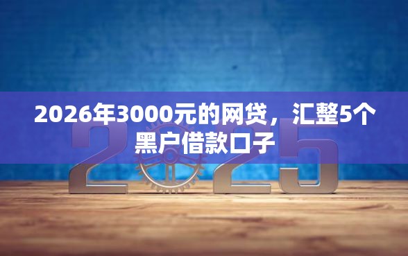 2026年3000元的网贷，汇整5个黑户借款口子