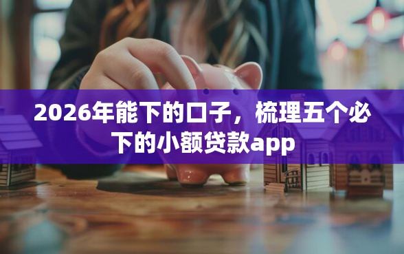 2026年能下的口子，梳理五个必下的小额贷款app