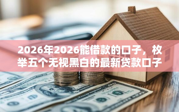 2026年2026能借款的口子，枚举五个无视黑白的最新贷款口子