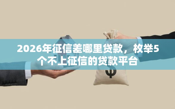 2026年征信差哪里贷款，枚举5个不上征信的贷款平台