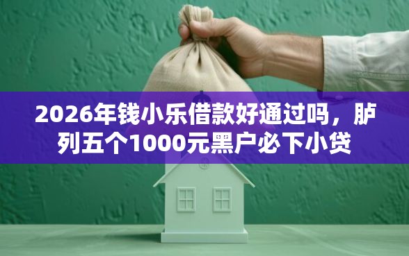 2026年钱小乐借款好通过吗，胪列五个1000元黑户必下小贷