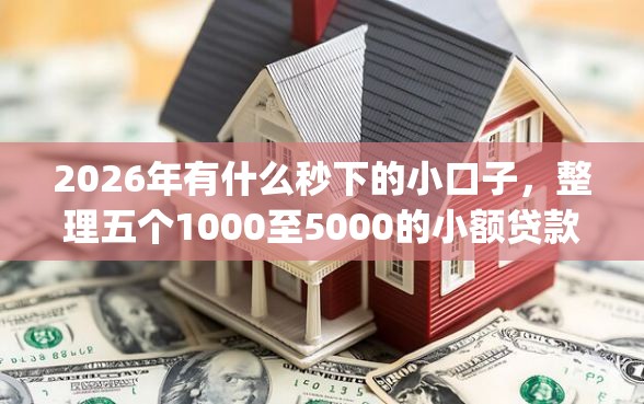 2026年有什么秒下的小口子，整理五个1000至5000的小额贷款app