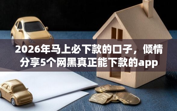2026年马上必下款的口子，倾情分享5个网黑真正能下款的app