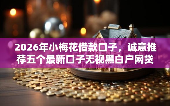 2026年小梅花借款口子，诚意推荐五个最新口子无视黑白户网贷