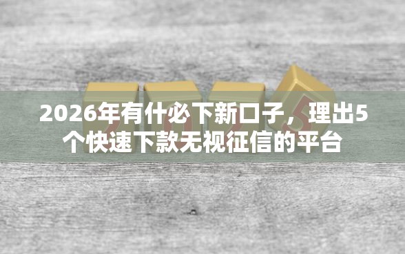 2026年有什必下新口子，理出5个快速下款无视征信的平台