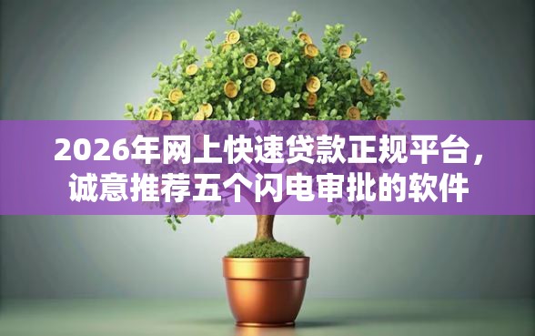 2026年网上快速贷款正规平台，诚意推荐五个闪电审批的软件