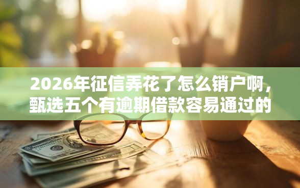 2026年征信弄花了怎么销户啊，甄选五个有逾期借款容易通过的平台
