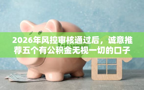 2026年风控审核通过后，诚意推荐五个有公积金无视一切的口子