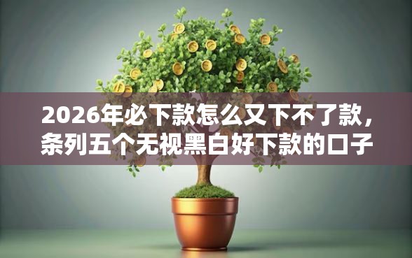 2026年必下款怎么又下不了款，条列五个无视黑白好下款的口子