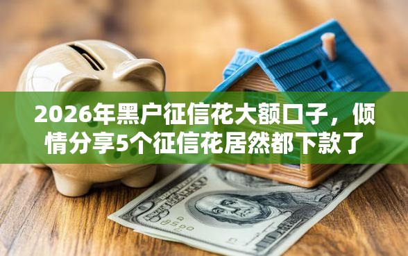 2026年黑户征信花大额口子，倾情分享5个征信花居然都下款了的软件