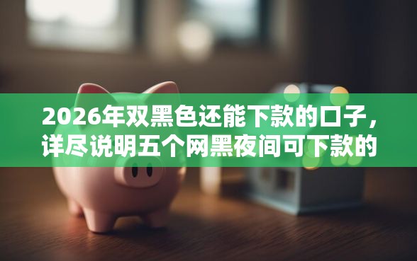 2026年双黑色还能下款的口子,详尽说明五个网黑夜间可下款的口子 2026年双黑色还能下款的口子,详尽说明五个网黑夜间可下款的口子