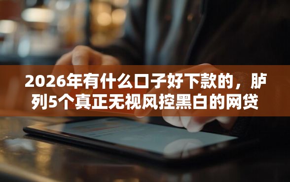 2026年有什么口子好下款的，胪列5个真正无视风控黑白的网贷软件