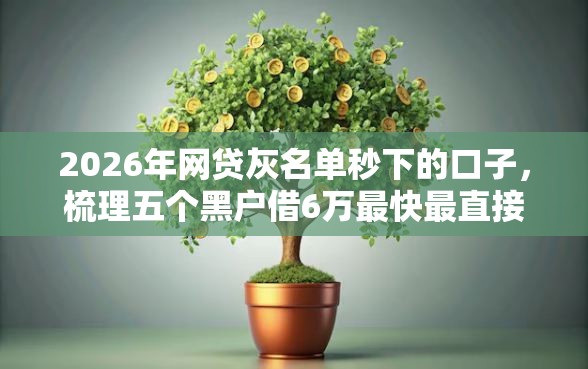 2026年网贷灰名单秒下的口子，梳理五个黑户借6万最快最直接的渠道