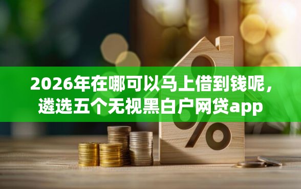 2026年在哪可以马上借到钱呢，遴选五个无视黑白户网贷app