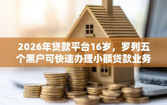 2026年贷款平台16岁，罗列五个黑户可快速办理小额贷款业务的口子