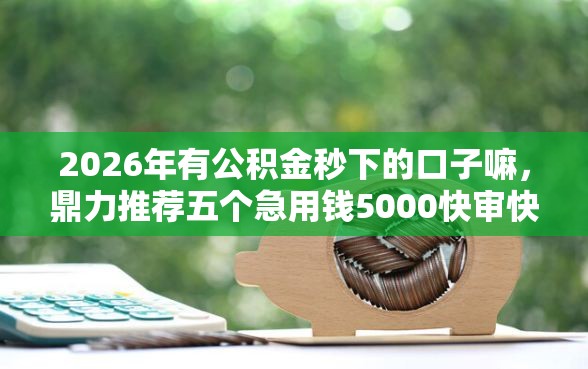 2026年有公积金秒下的口子嘛，鼎力推荐五个急用钱5000快审快贷无需征信平台