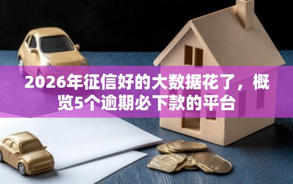2026年征信好的大数据花了，概览5个逾期必下款的平台