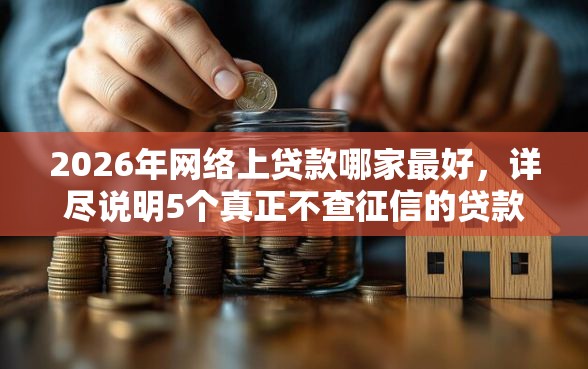 2026年网络上贷款哪家最好，详尽说明5个真正不查征信的贷款平台
