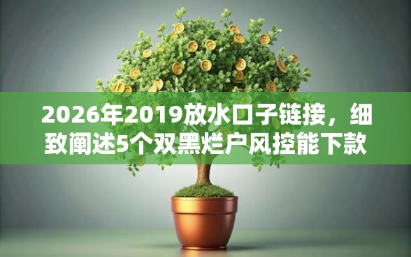 2026年2019放水口子链接，细致阐述5个双黑烂户风控能下款5000口子