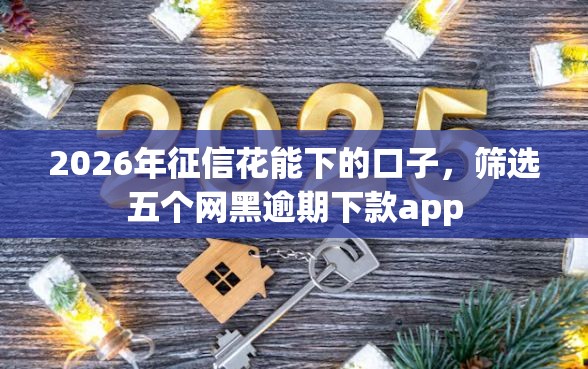2026年征信花能下的口子，筛选五个网黑逾期下款app