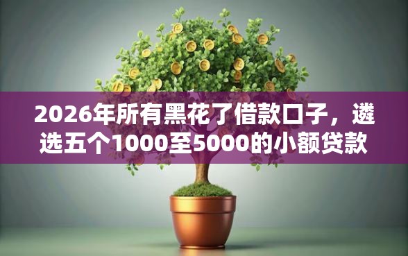 2026年所有黑花了借款口子,遴选五个1000至5000的小额贷款口子 2026年所有黑花了借款口子,遴选五个1000至5000的小额贷款口子