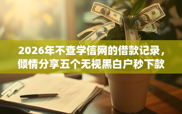 2026年不查学信网的借款记录，倾情分享五个无视黑白户秒下款口子app