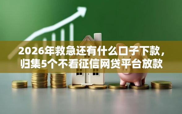 2026年救急还有什么口子下款，归集5个不看征信网贷平台放款快的软件