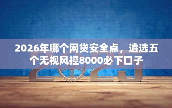 2026年哪个网贷安全点，遴选五个无视风控8000必下口子