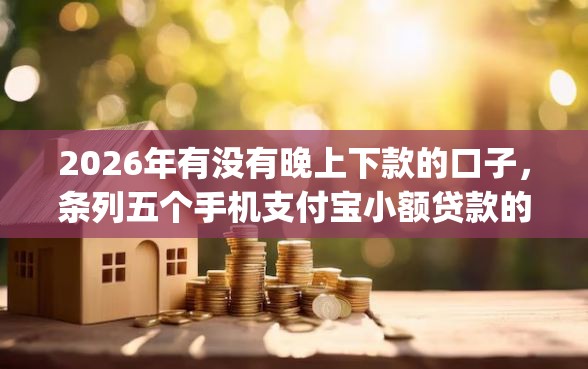 2026年有没有晚上下款的口子，条列五个手机支付宝小额贷款的app