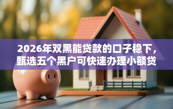 2026年双黑能贷款的口子稳下，甄选五个黑户可快速办理小额贷款业务的平台