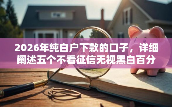 2026年纯白户下款的口子，详细阐述五个不看征信无视黑白百分百下款网贷平台