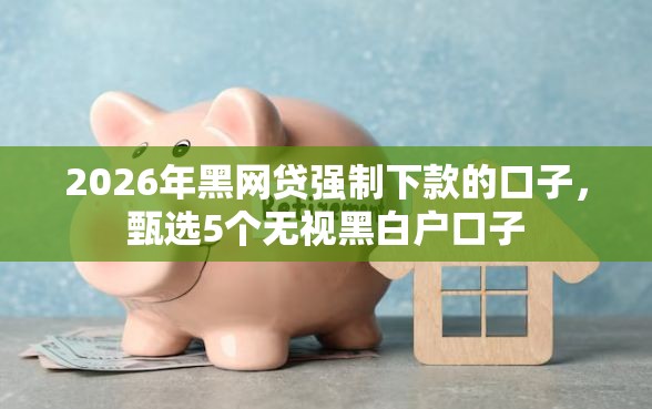 2026年黑网贷强制下款的口子，甄选5个无视黑白户口子