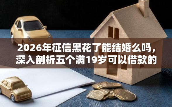 2026年征信黑花了能结婚么吗，深入剖析五个满19岁可以借款的平台