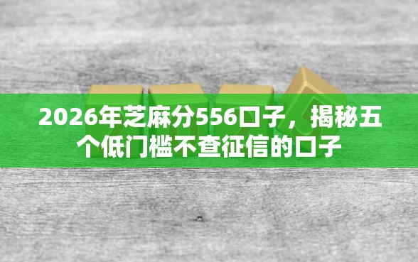 2026年芝麻分556口子，揭秘五个低门槛不查征信的口子