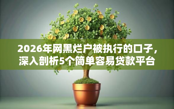 2026年网黑烂户被执行的口子，深入剖析5个简单容易贷款平台