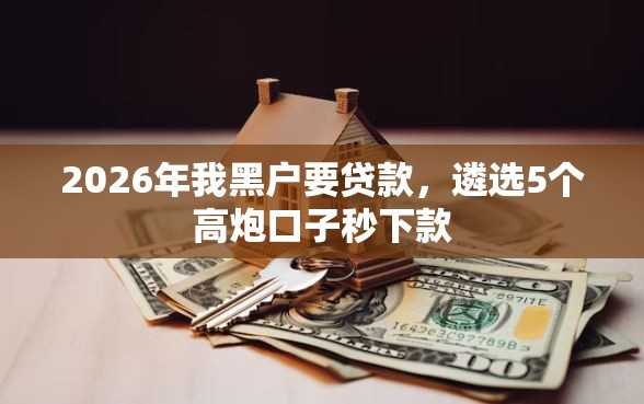 2026年我黑户要贷款，遴选5个高炮口子秒下款