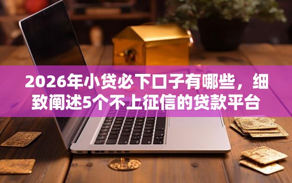 2026年小贷必下口子有哪些，细致阐述5个不上征信的贷款平台