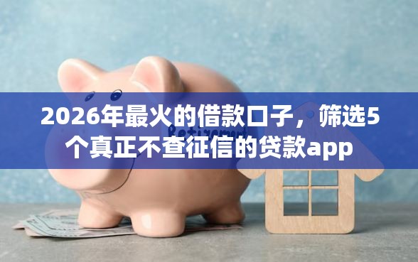 2026年最火的借款口子，筛选5个真正不查征信的贷款app
